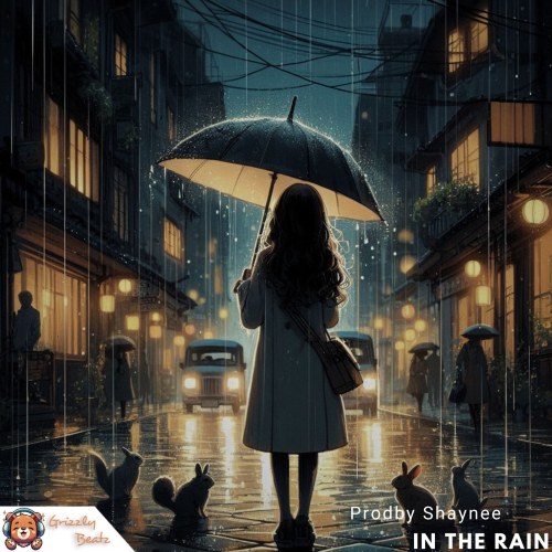 LoFi Record Label Release - In The Rain